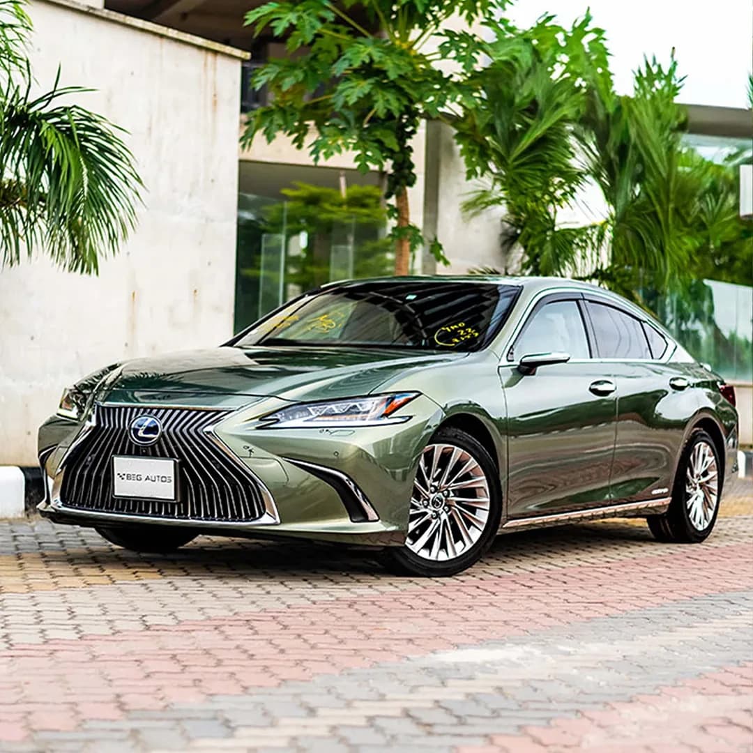 Front view of  Lexus 2020 in Olive