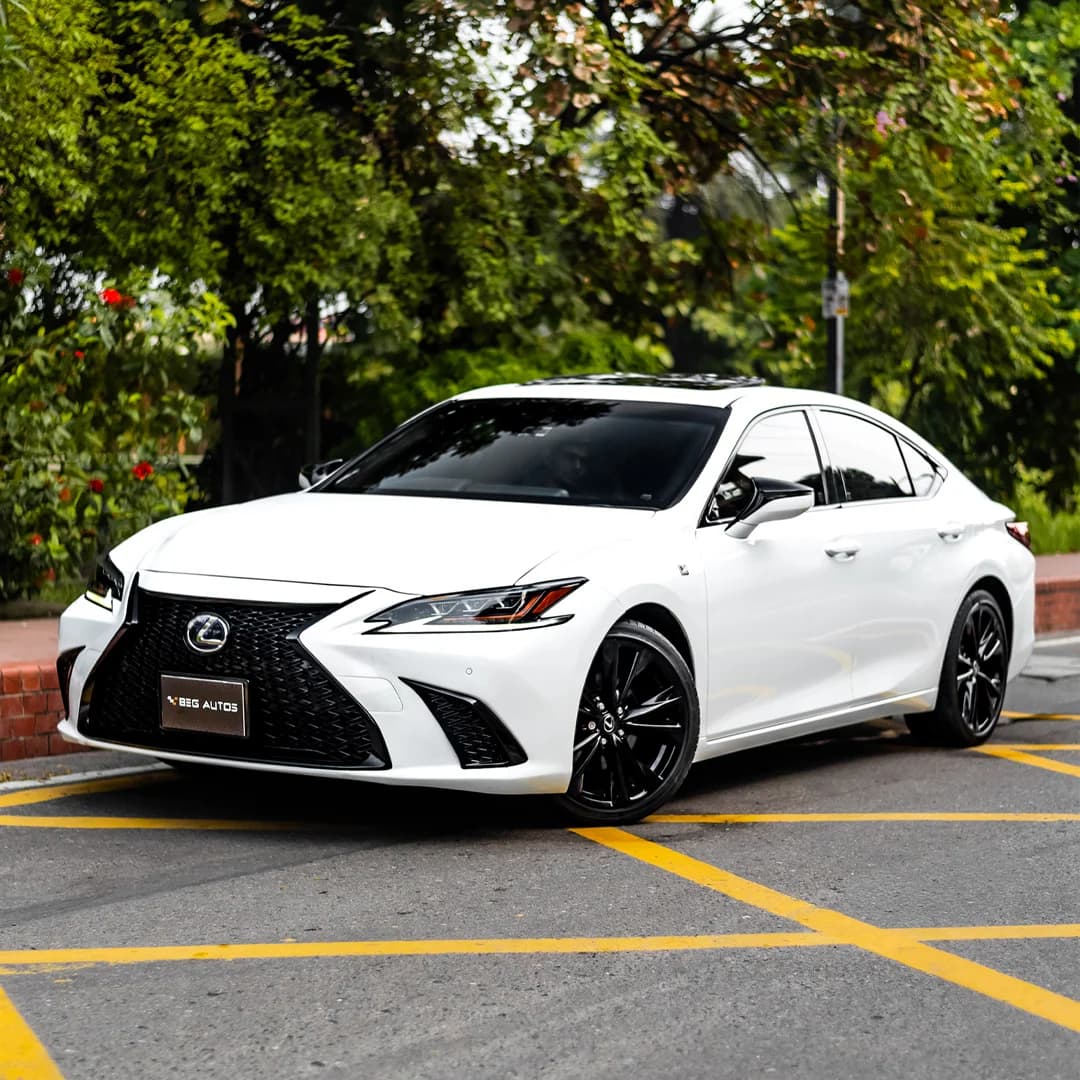 View of 2024 Lexus 2019