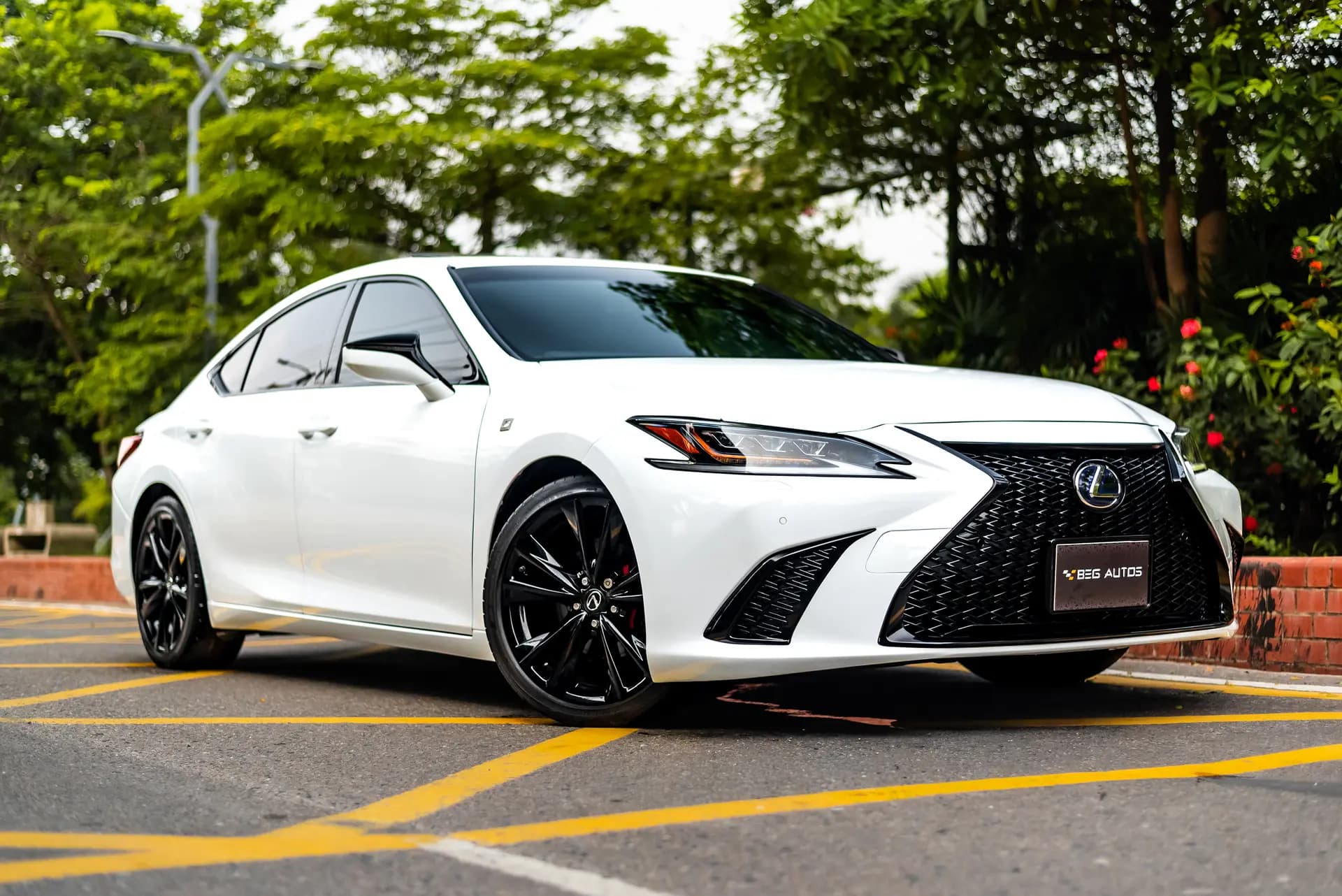 View of 2024 Lexus 2019