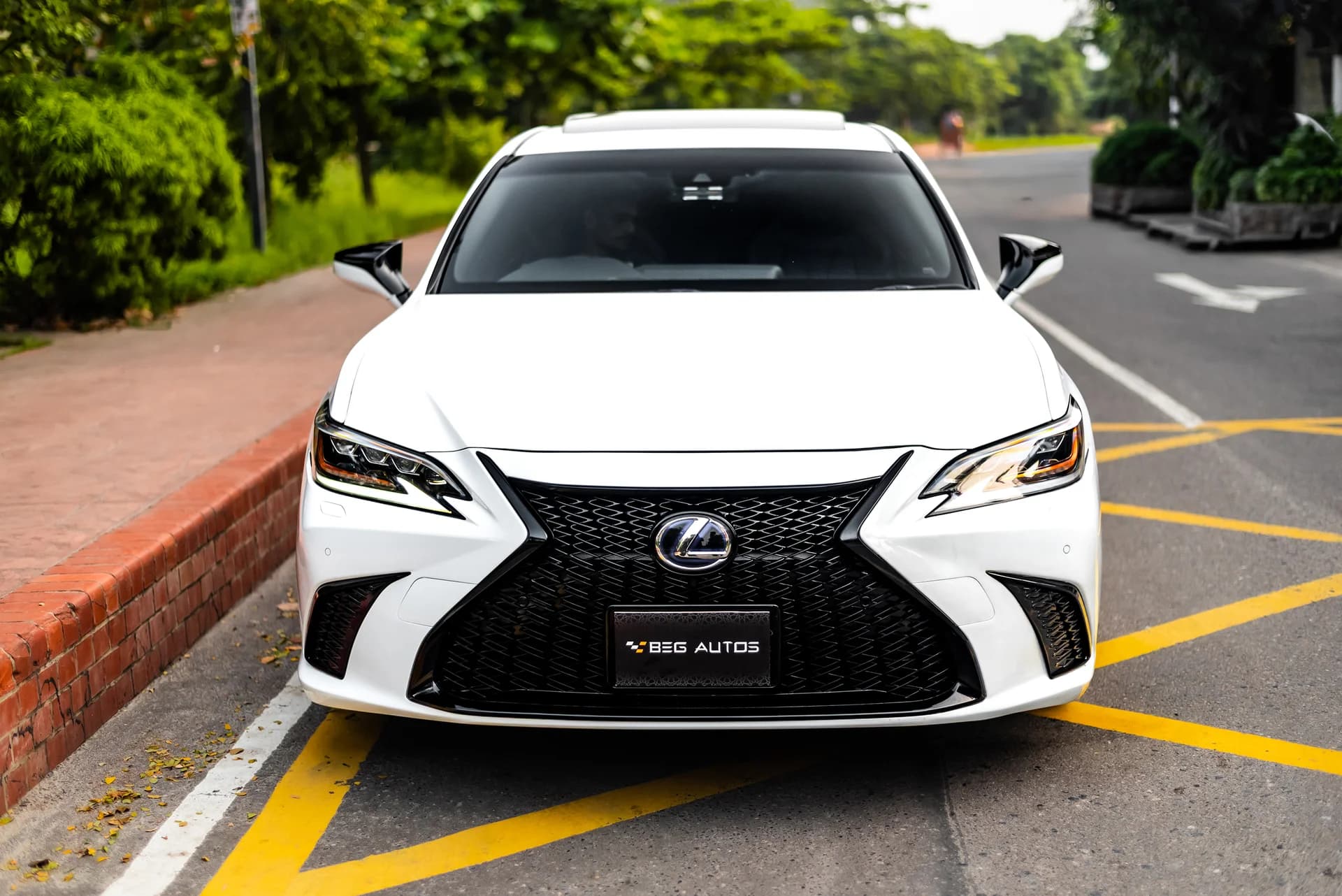 View of 2024 Lexus 2019