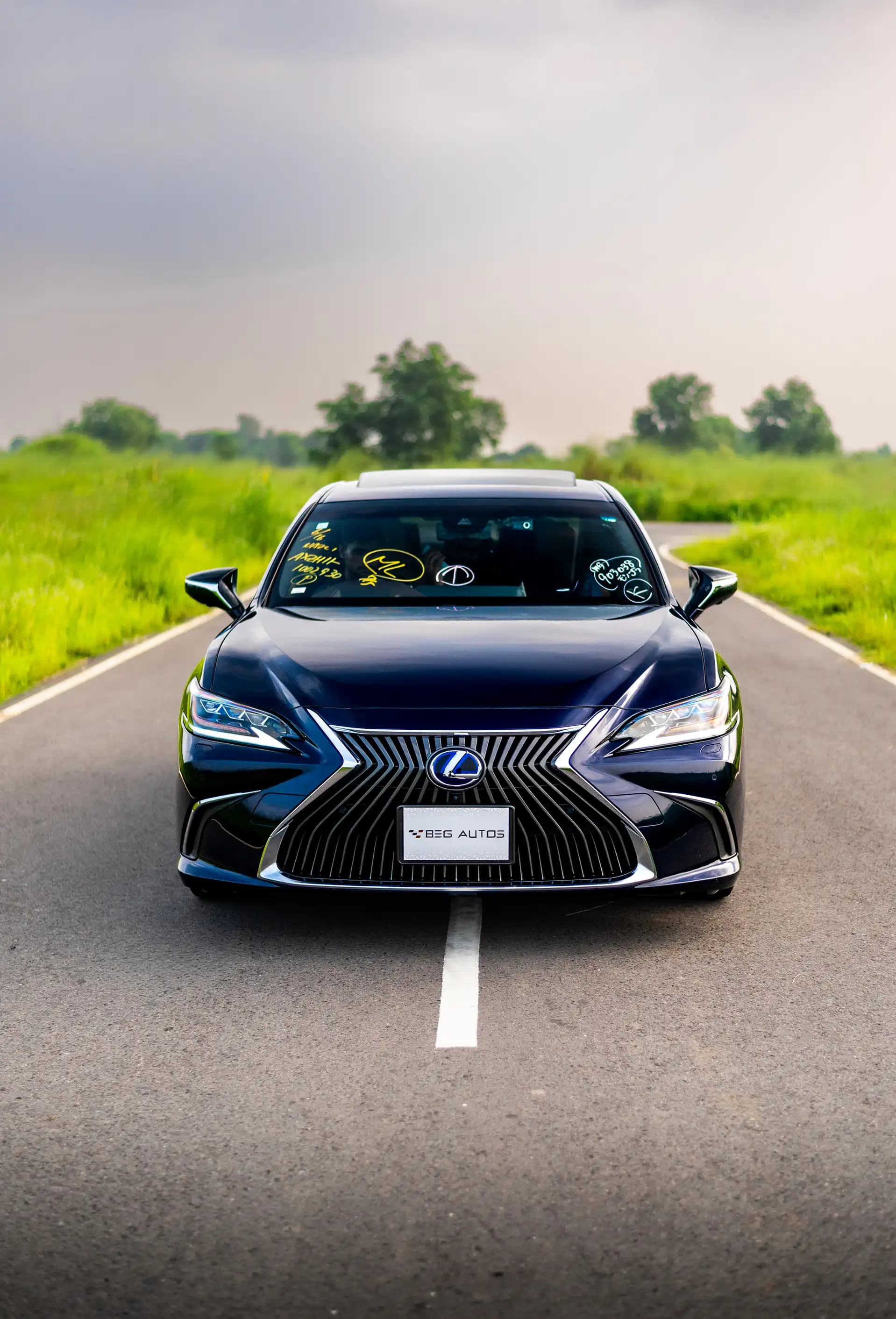View of Lexus 2020 in Blue