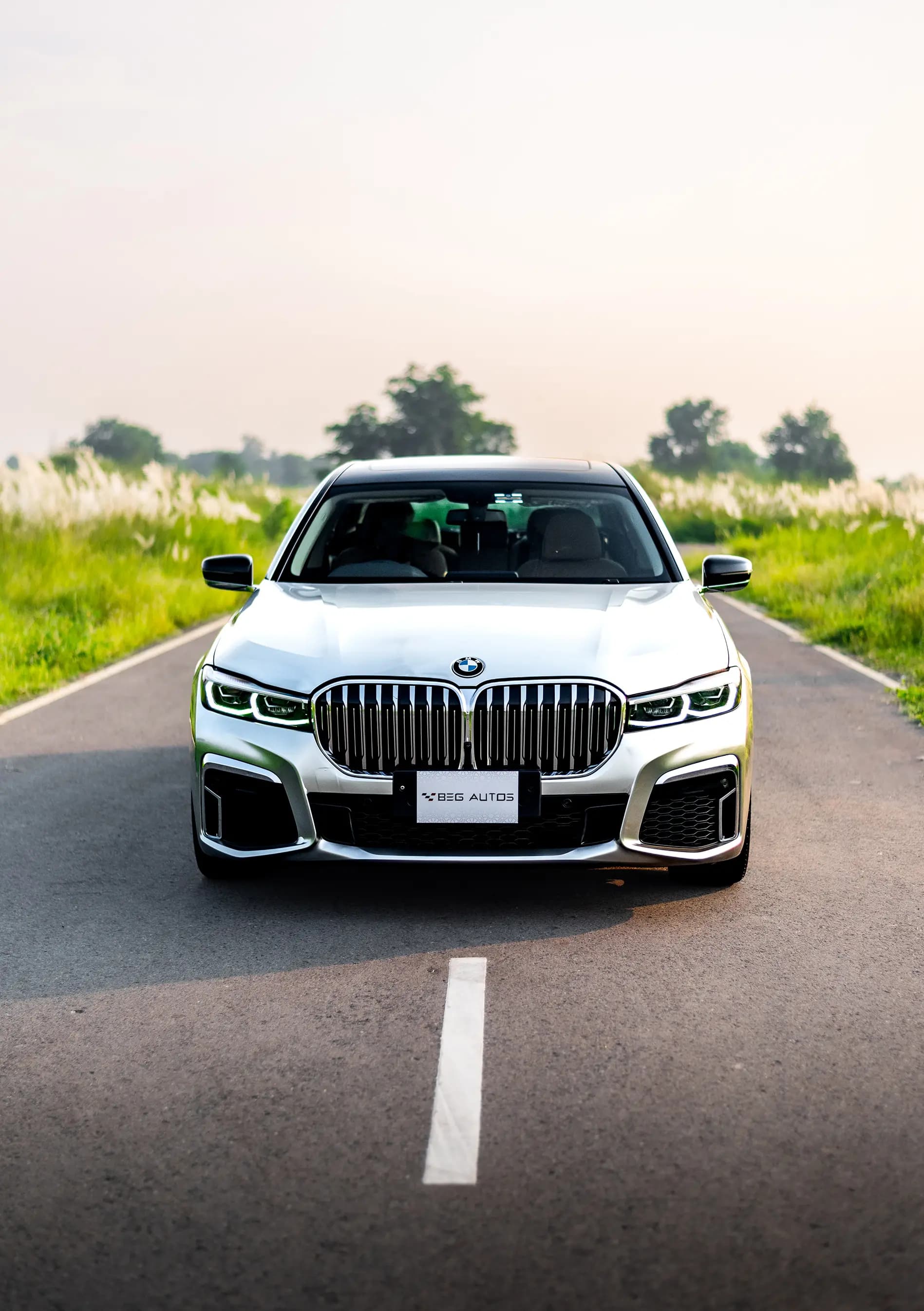 View of 2020 BMW 2019 in Silver