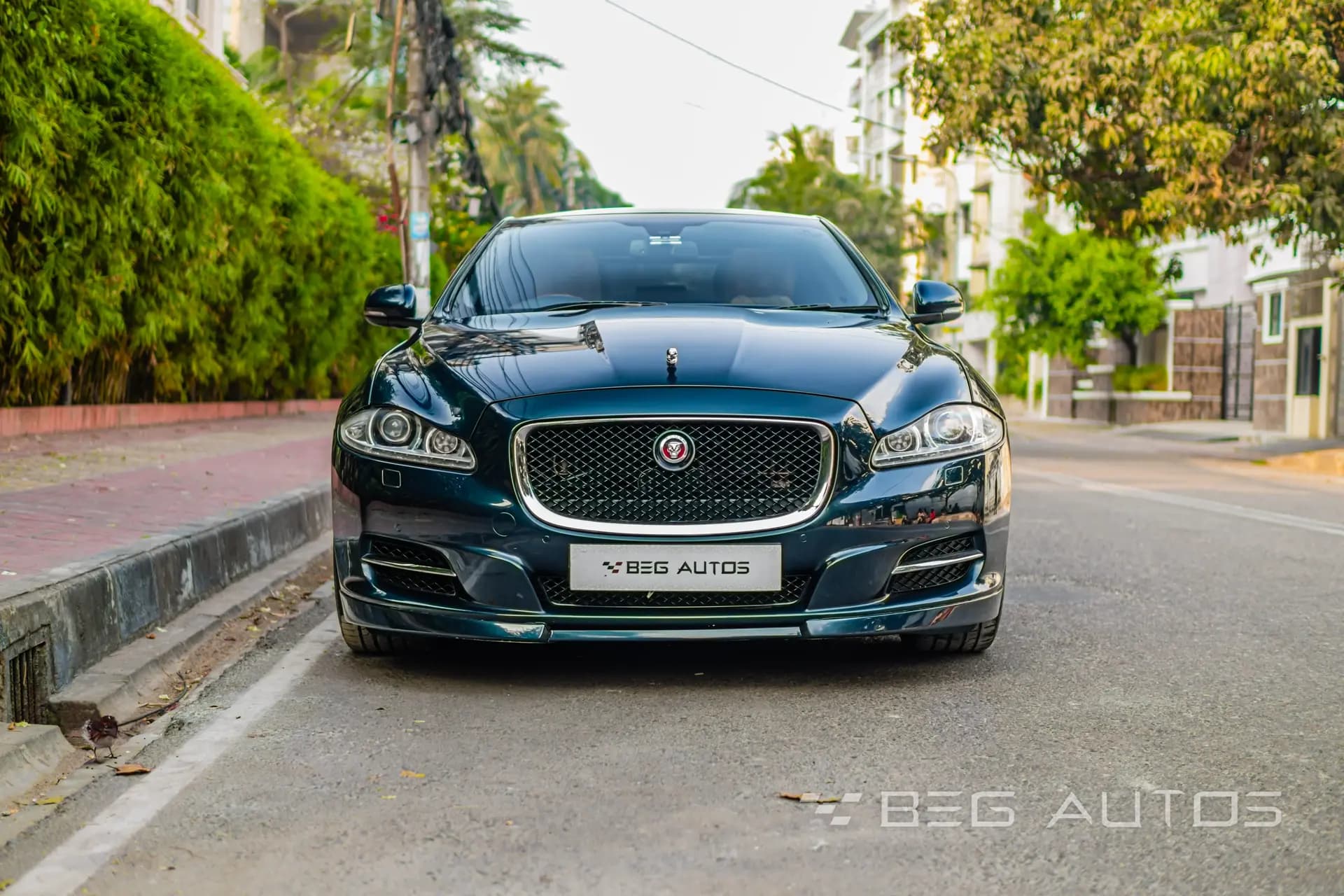 Jaguar XJL