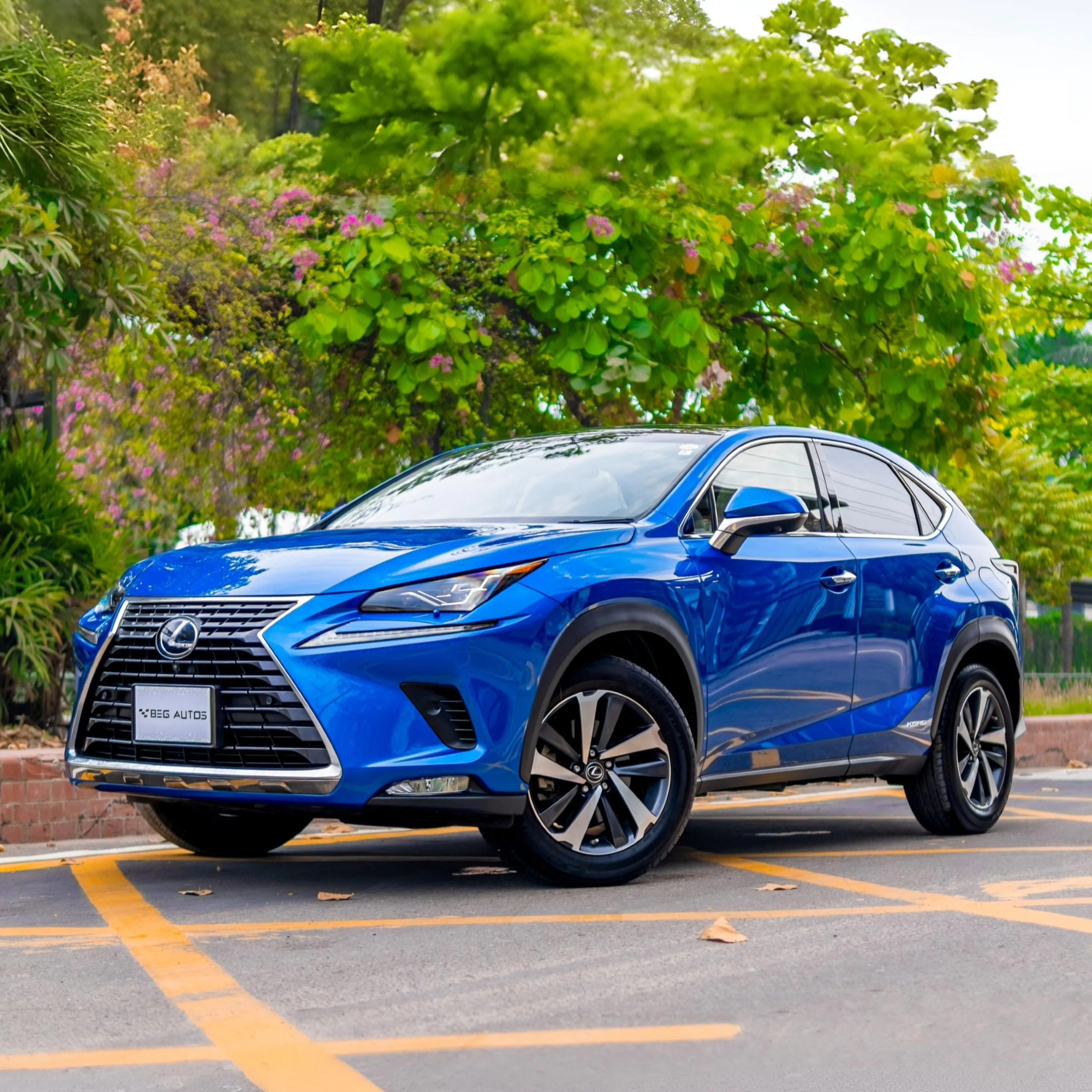 Front view of Lexus 2018 in Blue