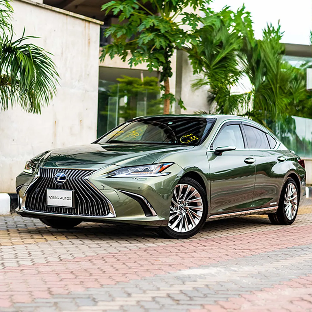 Front view of Lexus 2020 in Olive