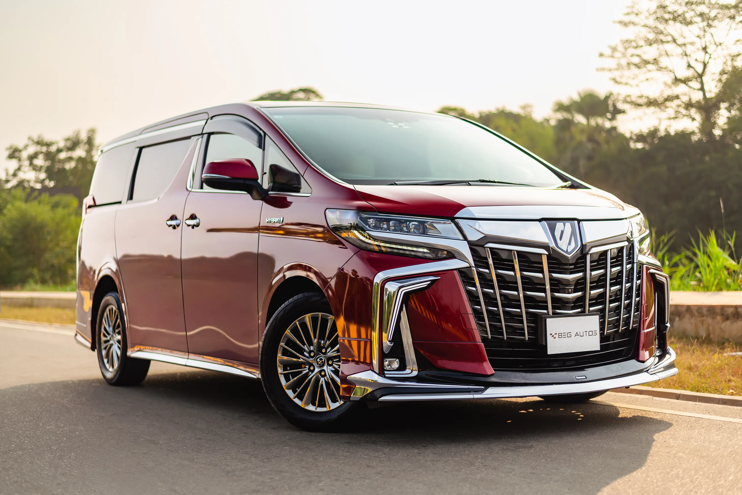 Toyota Alphard (Red-Wine)